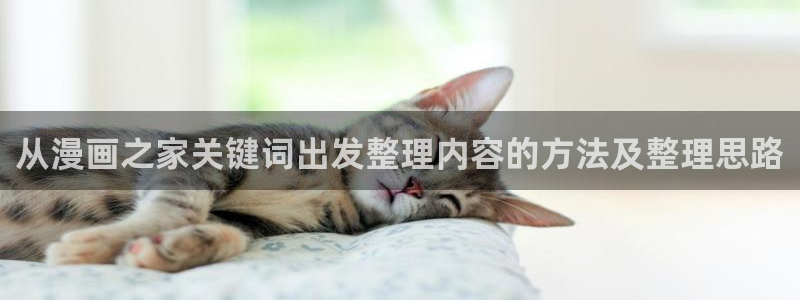 羞羞漫画漫画阅读网站